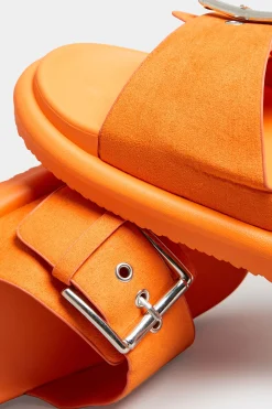 M&Co Limited Collection Limited Collection Orange Buckle Strap Mule Sandals In Wide E Fit & Extra Wide Eee Fit><noscript><img width=