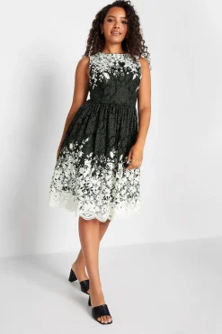 M&Co Womens Black Lace Border Midi Dress>Women Wedding Guest Dresses