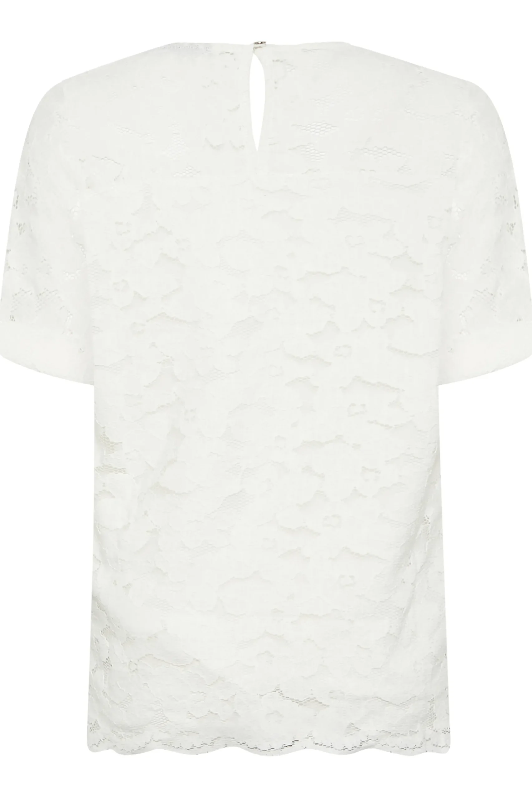 M&Co Womens Ivory White Lace Blouse>Women Blouses