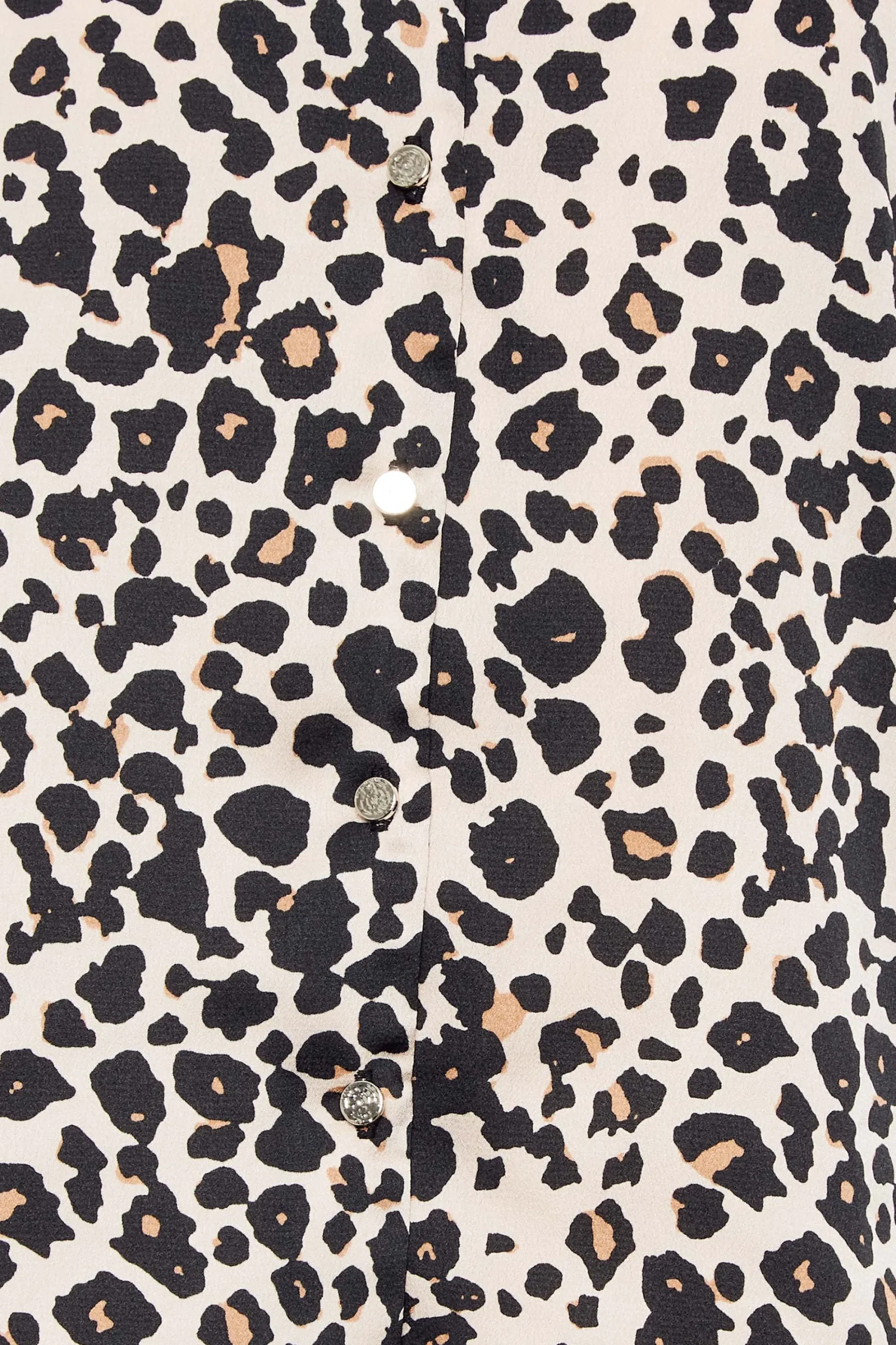 M&Co Womens Natural Leopard Frill Sleeve Blouse>Women Short Sleeve Tops
